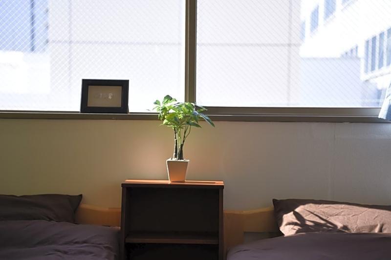 Guest house Beehive *